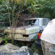 Image for article titled A Michigan Town Is Forcing This Man To Sell 20 Old Cars Off His Property Every Month